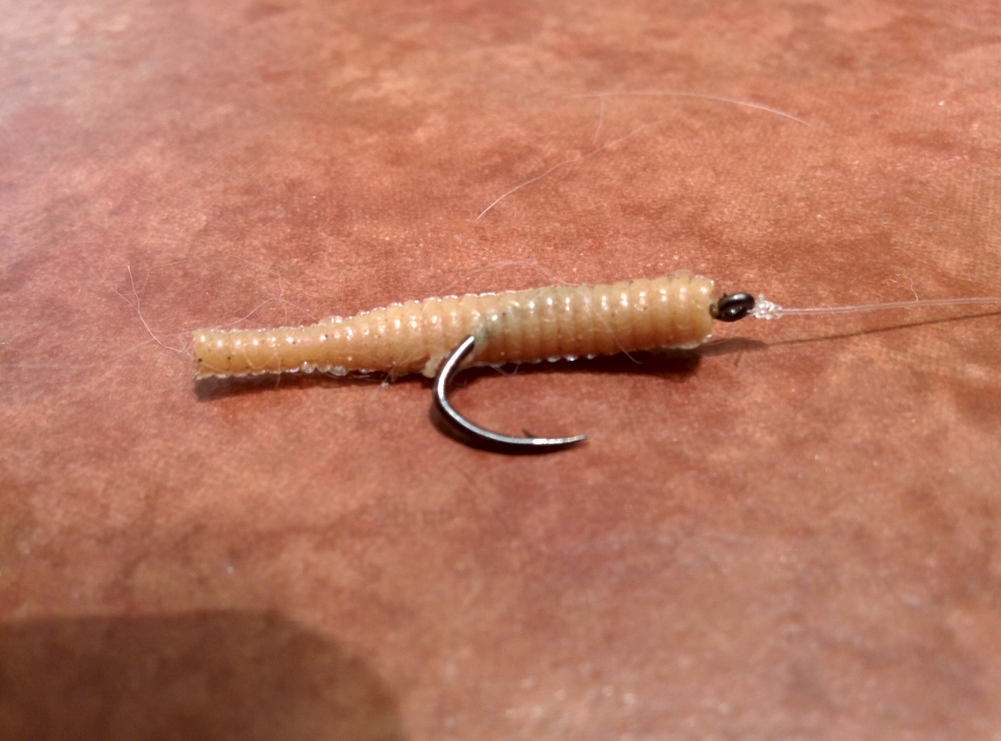 Spinning Rig for Trout