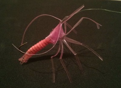 Straw shrimp fly tying unique