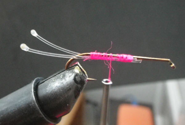 1 pink shrimp fly pink thread mono eyes lighter streamer hook superfly barbless