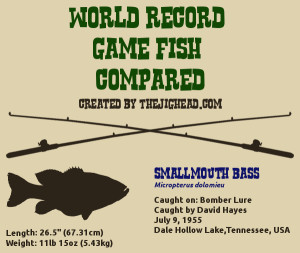 World Record Gamefish Comparison: Trout, Salmon, and Bass