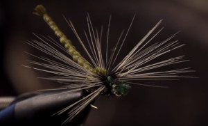 Do Trout Eat Dragonflies?