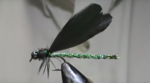 jewel ebony damselfly fly damsel dragon fly dragonfly tying fishing trout brookie rainbow brown smallmouth bass
