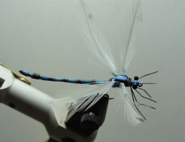 spent wing foam blue damsel fly sharpie marker panfish bluegill fly tying pond
