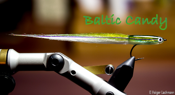 baltic candy salt water fly