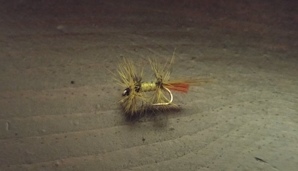 dual wing little yellow stone fly yellow sally fly fishing trout