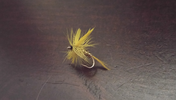 yellow stone fly yellow sally brook trout fishing mayfly