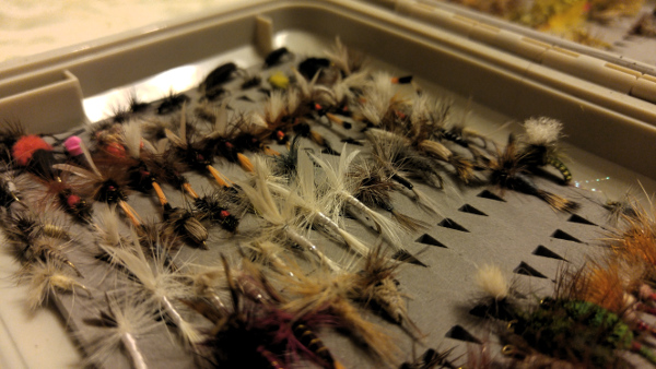 Dry fly box. how to make your flies last longer.