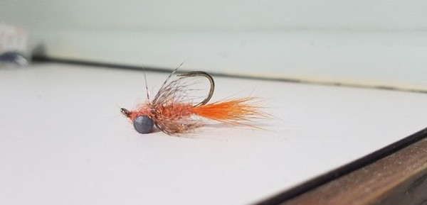 the carrot soft hackle carp fly
