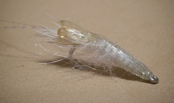 clear white realistic shrimp fly pattern salt water fly fishing