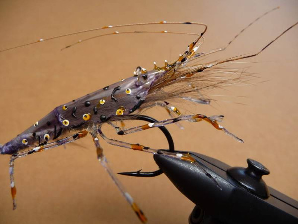 hand painted shrimp fly