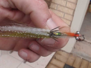 Fly Fishing for Squid