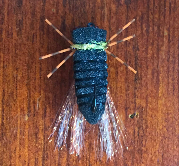 foam cicada pattern