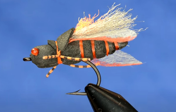 GIANT Hopper/Cicada Fly Pattern: Backwater VLOG #45 – Backwater