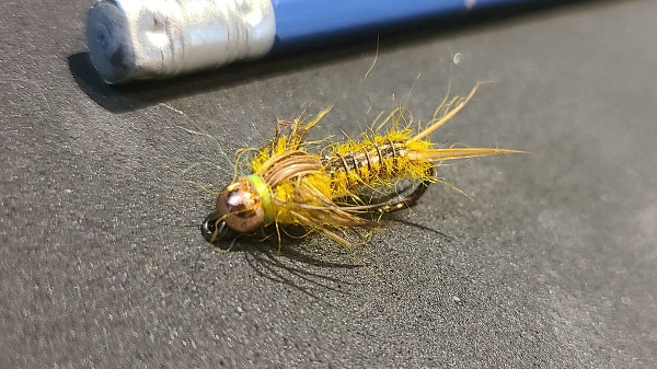 Yellow Stonefly Nymph fly pattern