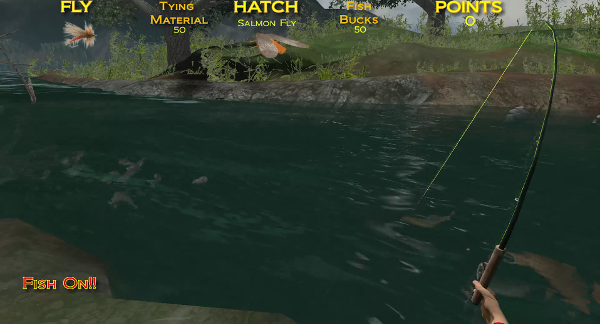 Fishing on the Fly Fishing game